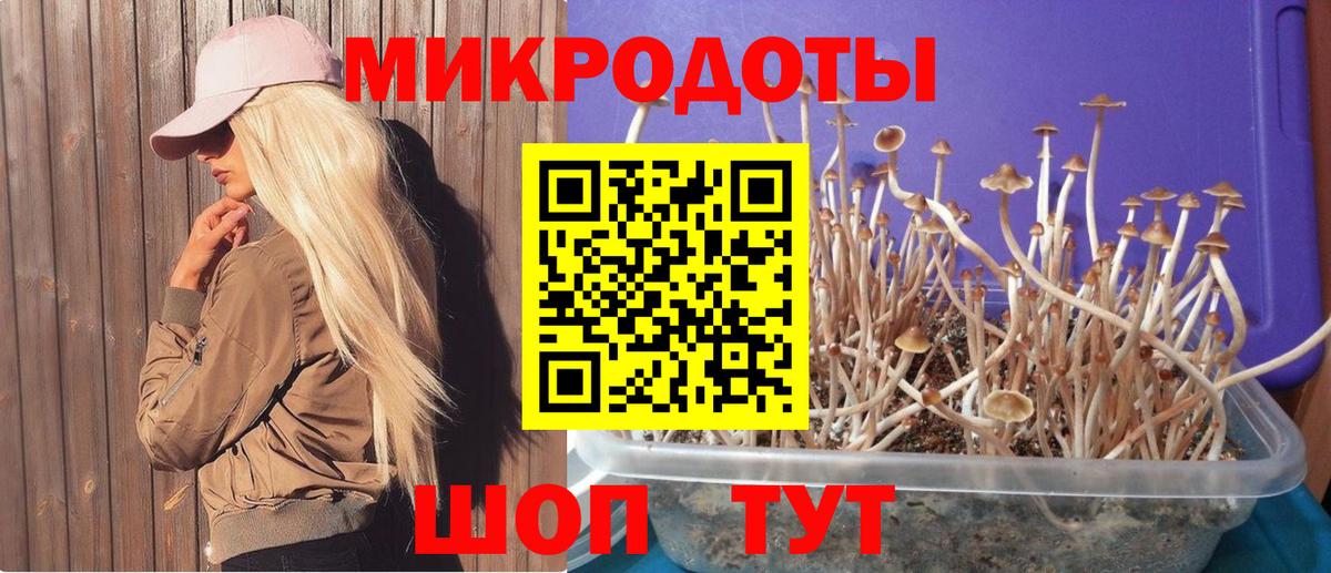 Галлюциногенные грибы Magic Shrooms Псков